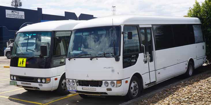 Skylight Fuso Rosa 1 & BS00EZ